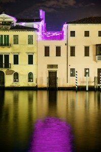 FISHENITEVENICEVIOLET