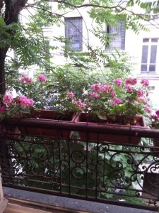 APTFLOWERSMK