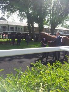 ASCOT147PREPARADE