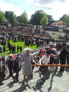 ASCOT148CHICLADYOWNER