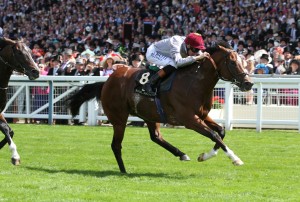 ASCOT14Toronado