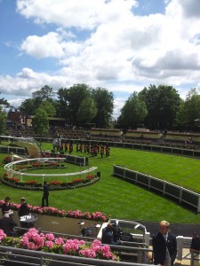 ASCOTGUARDS141