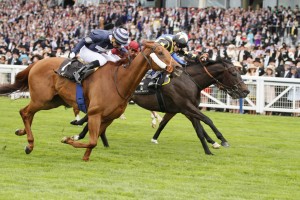 King's Stand Stakes (Group 1) 5f, 3yo+ ROBERT COWELL once again illustrated why he is such a fine trainer of sprinters as he won the King's Stand for the second time in five years with 20-1 chance Goldream. Prohibit provided Cowell with the first Group 1 of his career in the race in 2011, and Goldream got his head in front where it mattered most, defeating 50-1 outsider Medicean Man in a photo-finish. RELATED LINKS Race result  Cowell has a proven history of improving sprinters recruited from other yards, and Goldream started out with Luca Cumani before moving to Cowell in 2013. Victory last month in the Palace House Stakes at Newmarket was a first Group-class success for the six-year-old, who improved again to secure a maiden Group 1 by a short head. Cowell said: "He's been brilliant, I didn't think he'd win a race like this but I thought he'd been getting to this sort of level. "It was a brilliant ride by Martin [Harley] and I'm pleased for the owners. I'm loving this race, it's fantastic." Winning jockey Harley partnered Goldream for the first time in the Palace House, and added: "I just tacked over from the stalls as I thought all the fancied ones were drawn high. When I kicked inside the final furlong he picked up well. "I was lucky because I was changing hands a furlong out and nearly dropped the stick! Being a Group 1 makes it a lot more special, they are hard to get."12 June 2015;  GOLDREAM, Martin Harley up, defeating, Medicean Man, Joao Moreira up, nearside, and Muthmir, Paul Hanagan up, in The King's Stand Stakes at Ascot.  © Peter Mooney, 6, Cumberland Street, Dun Laoghaire, Co. Dublin, Ireland.    Tel:  00 353 (0)86 2589298